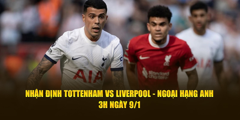 Nhận định Tottenham vs Liverpool - Ngoại hạng Anh, 3h ngày 9/1